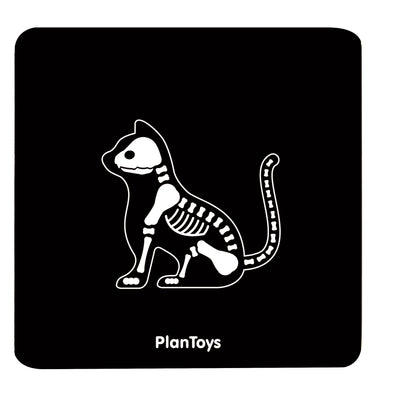 Plan Toys - eläinlääkärin varusteet